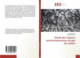 Etude des impacts environnementaux de gaz de schiste