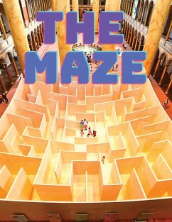 Maze Puzzles Book - Exotic Publisher