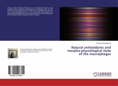 Natural antioxidants and morpho-physiological state of the macrophages - Kamaletdinova, Tatiana
