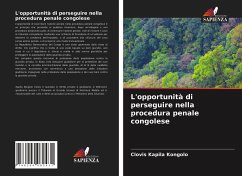 Cover L'opportunità di perseguire nella procedura penale congolese