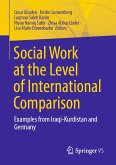 Social Work at the Level of International Comparison (eBook, PDF)