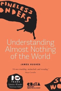 Understanding Almost Nothing Of The World - Hughes, James