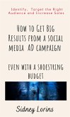 How to Get Big Result from a Social Media AD Campaign Even with a Shoestring Budget. (eBook, ePUB)