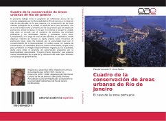 Cuadro de la conservación de áreas urbanas de Río de Janeiro