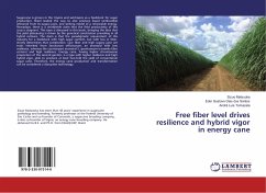 Free fiber level drives resilience and hybrid vigor in energy cane - Matsuoka, Sizuo; Gustavo Dias dos Santos, Eder; Luis Tomazela, André