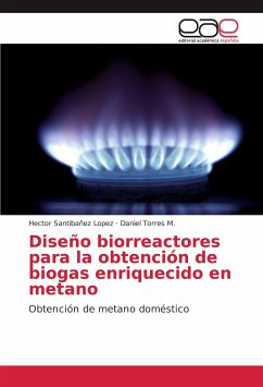 Diseño biorreactores para la obtención de biogas enriquecido en metano