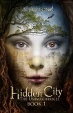 Hidden City (eBook, ePUB)