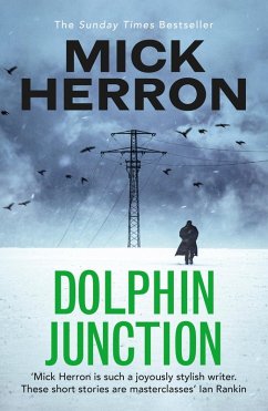 Dolphin Junction (eBook, ePUB) - Herron, Mick