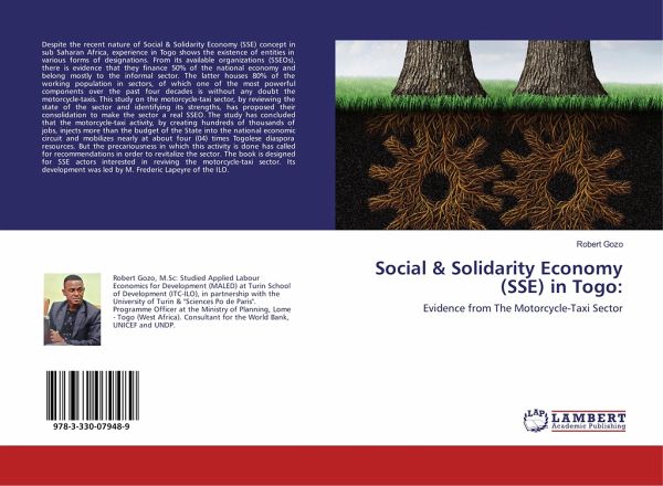 Social & Solidarity Economy (SSE) in Togo: