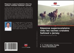 Réponse superovulatoire chez les vaches croisées Sahiwal x Jersey - Pridhvidhar Reddy, Y. V.;Veera bramhaiah, K.