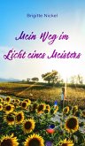Mein Weg im Licht eines Meisters (eBook, ePUB)