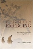 Persons Emerging (eBook, ePUB)