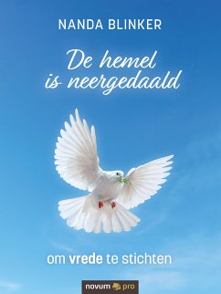 De hemel is neergedaald (eBook, ePUB) - Blinker, Nanda