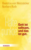 Haltepunkte (eBook, PDF)