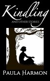 Kindling (eBook, ePUB)