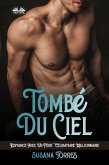 Tombé Du Ciel (eBook, ePUB)