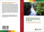 Sedimentação Atual do Estuário do Rio Formoso - PE (Brasil)