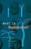 What Is Regeneration?