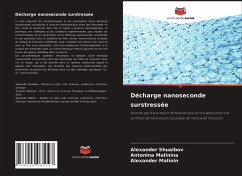 Décharge nanoseconde surstressée - Shuaibov, Alexander;Malinina, Antonina;Malinin, Alexander