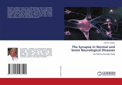 The Synapse in Normal and Some Neurological Diseases - Castejon, Orlando