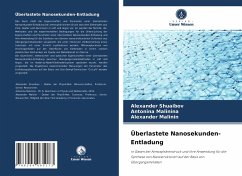 Überlastete Nanosekunden-Entladung - Shuaibov, Alexander;Malinina, Antonina;Malinin, Alexander