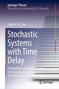 Stochastic Systems with Time Delay (eBook, PDF) - Loos, Sarah A.M.