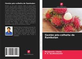 Gestão pós-colheita de Rambutan