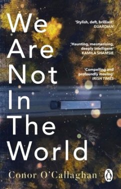 We Are Not in the World - O'Callaghan, Conor