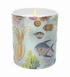 Art of Nature: Under the Sea Scented Glass Candle