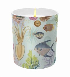 Art of Nature: Under the Sea Scented Glass Candle - Insight Editions