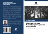 Räumlich-zeitliche Auswirkungsanalyse des Kohleabbaus