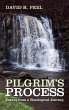 Pilgrim's Process - Bild 1