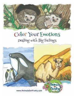 Color Your Emotions: Dealing with Big Feelings - Johnsen, Sarahndipity