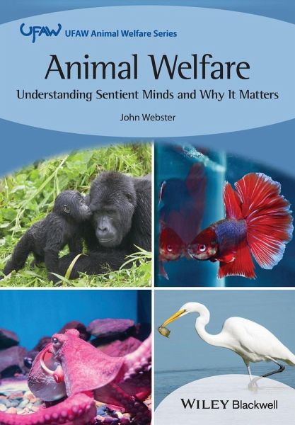 Animal Welfare Animal Welfare