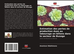 Estimation des pertes de production dues au labourage en billons dans le secteur de Busogo - Ndahimana, Anastase