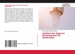 Calidad del Agua en Microcuencas de Quebradas - Pesantes Zhanay, Byron Adrián