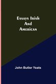 Essays Irish And American