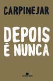 Depois é nunca (eBook, ePUB)