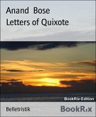 Letters of Quixote (eBook, ePUB)