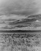 The Damage of Secrets (eBook, ePUB)