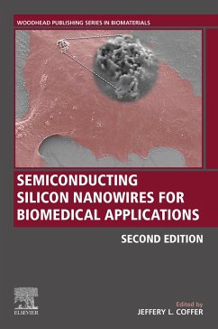 Semiconducting Silicon Nanowires for Biomedical Applications (eBook, ePUB)