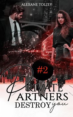 Private Partners (eBook, ePUB)