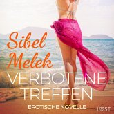 Verbotene Treffen - Erotische Novelle (MP3-Download)