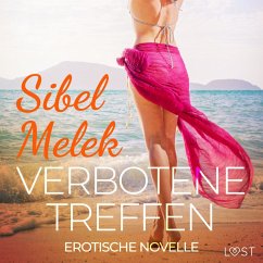 Verbotene Treffen - Erotische Novelle (MP3-Download) - Melek, Sibel