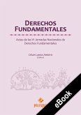 Derechos Fundamentales (eBook, ePUB)