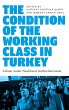 The Condition of the Working Class in... - Bild 1
