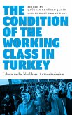 The Condition of the Working Class in Turkey (eBook, ePUB)