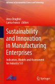 Sustainability and Innovation in Manufacturing Enterprises