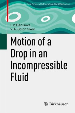 Motion of a Drop in an Incompressible Fluid (eBook, PDF) - Denisova, I. V.; Solonnikov, V. A.