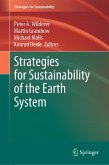Strategies for Sustainability of the Earth System (eBook, PDF)